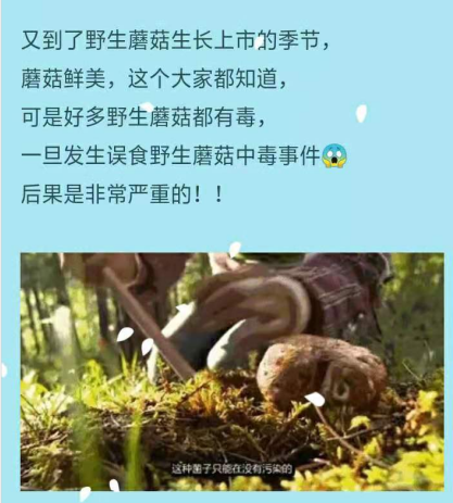 微信圖片_20190822161854.png