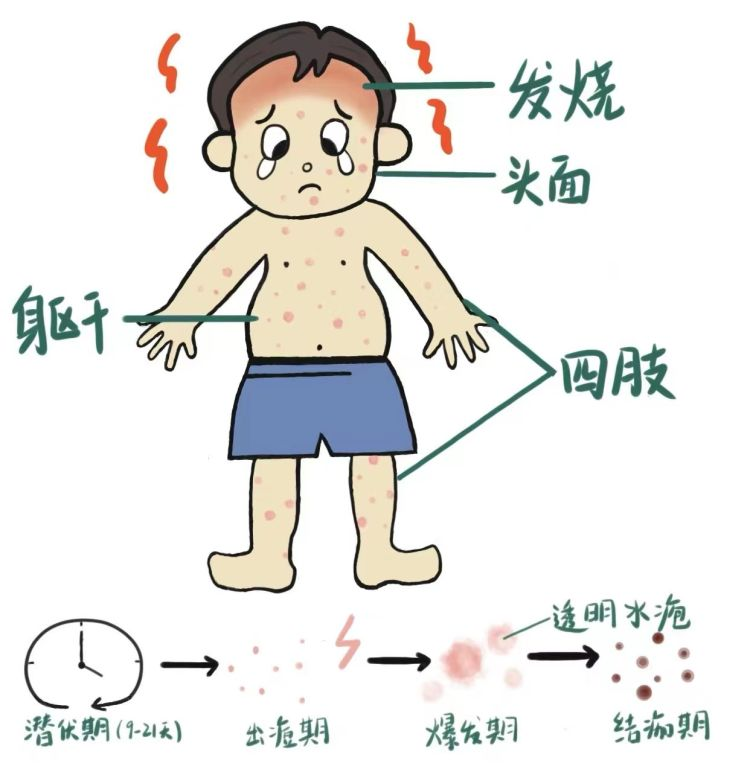 圖片4.png